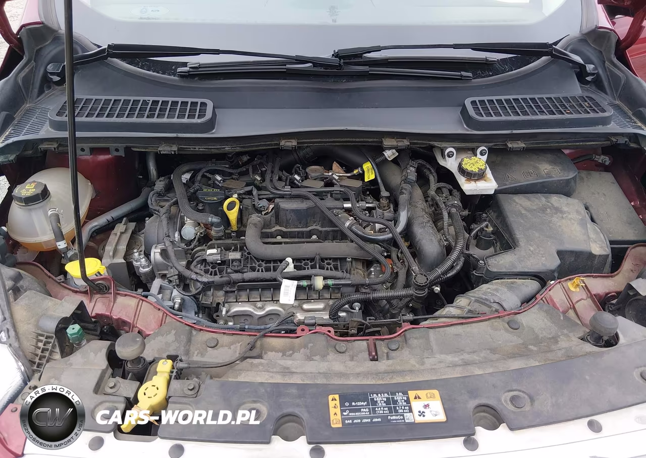 2019 Ford Escape Se VIN:1FMCU0GD7KUA88014 - 10