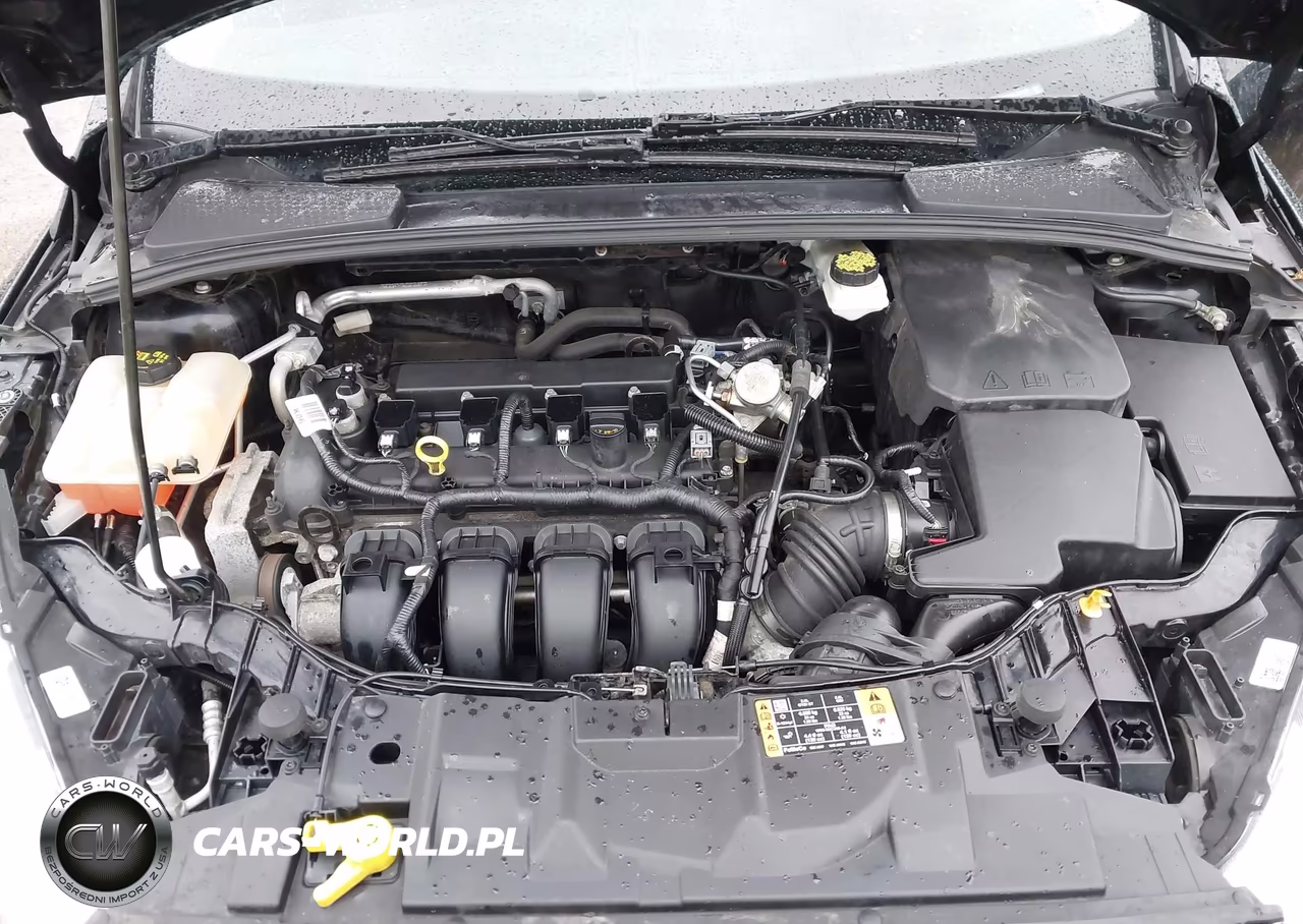 2017 Ford Focus Se VIN:1FADP3K25HL294833 - 10