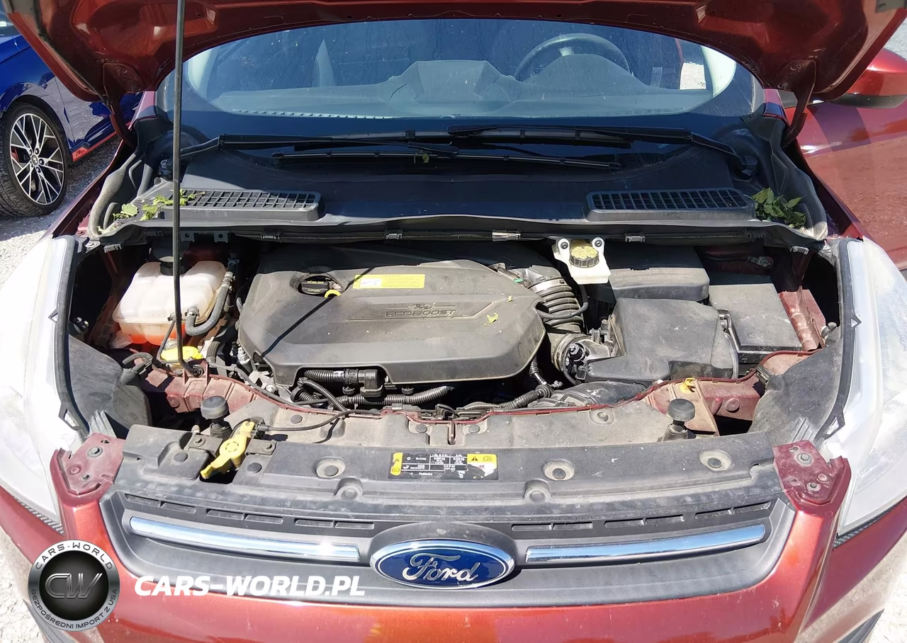 2014 Ford Escape Se VIN:1FMCU0GX2EUA27300 - 10