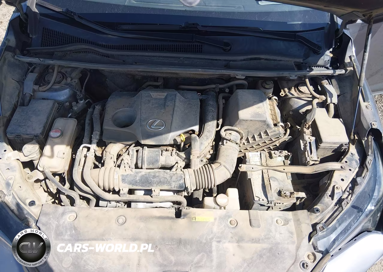 2015 Lexus Nx 200T VIN:JTJYARBZ0F2001692 - 10