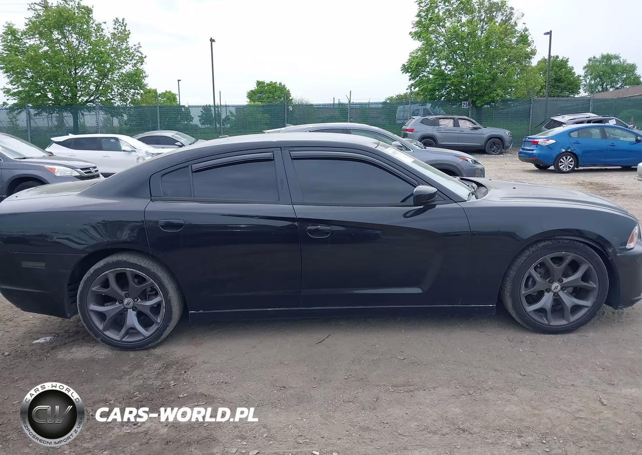 2013 Dodge Charger Sxt VIN:2C3CDXHG5DH546696 - 13