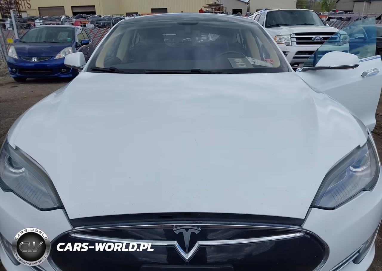 2014 Tesla Model S P85 VIN:5YJSA1H15EFP49393 - 10
