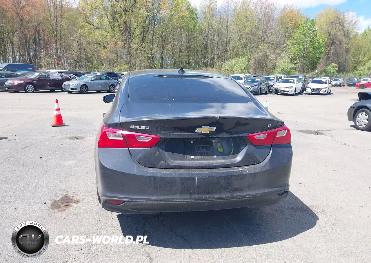 2023 Chevrolet Malibu Fwd 1Lt VIN:1G1ZD5ST0PF162517 - 16
