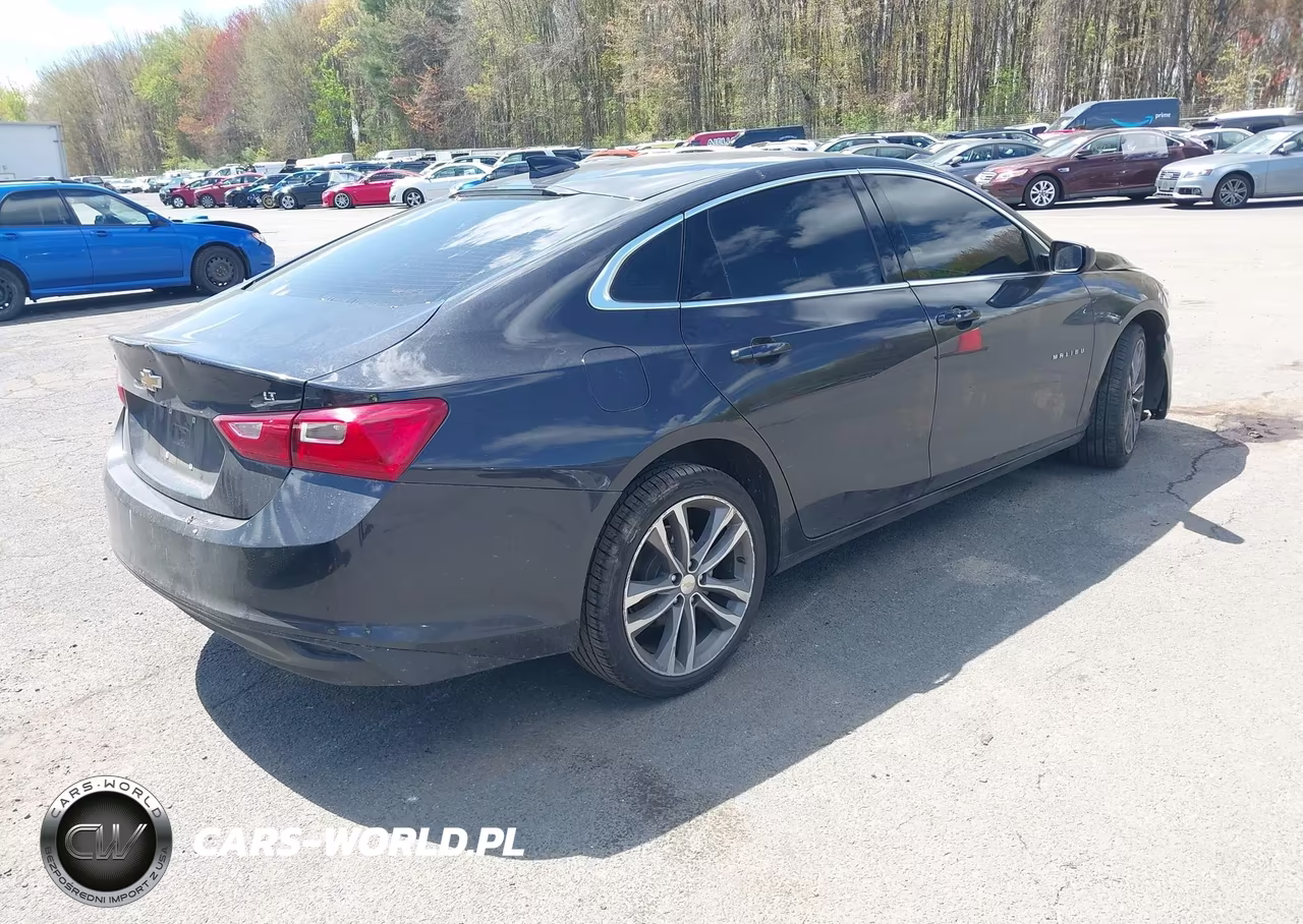 2023 Chevrolet Malibu Fwd 1Lt VIN:1G1ZD5ST0PF162517 - 4