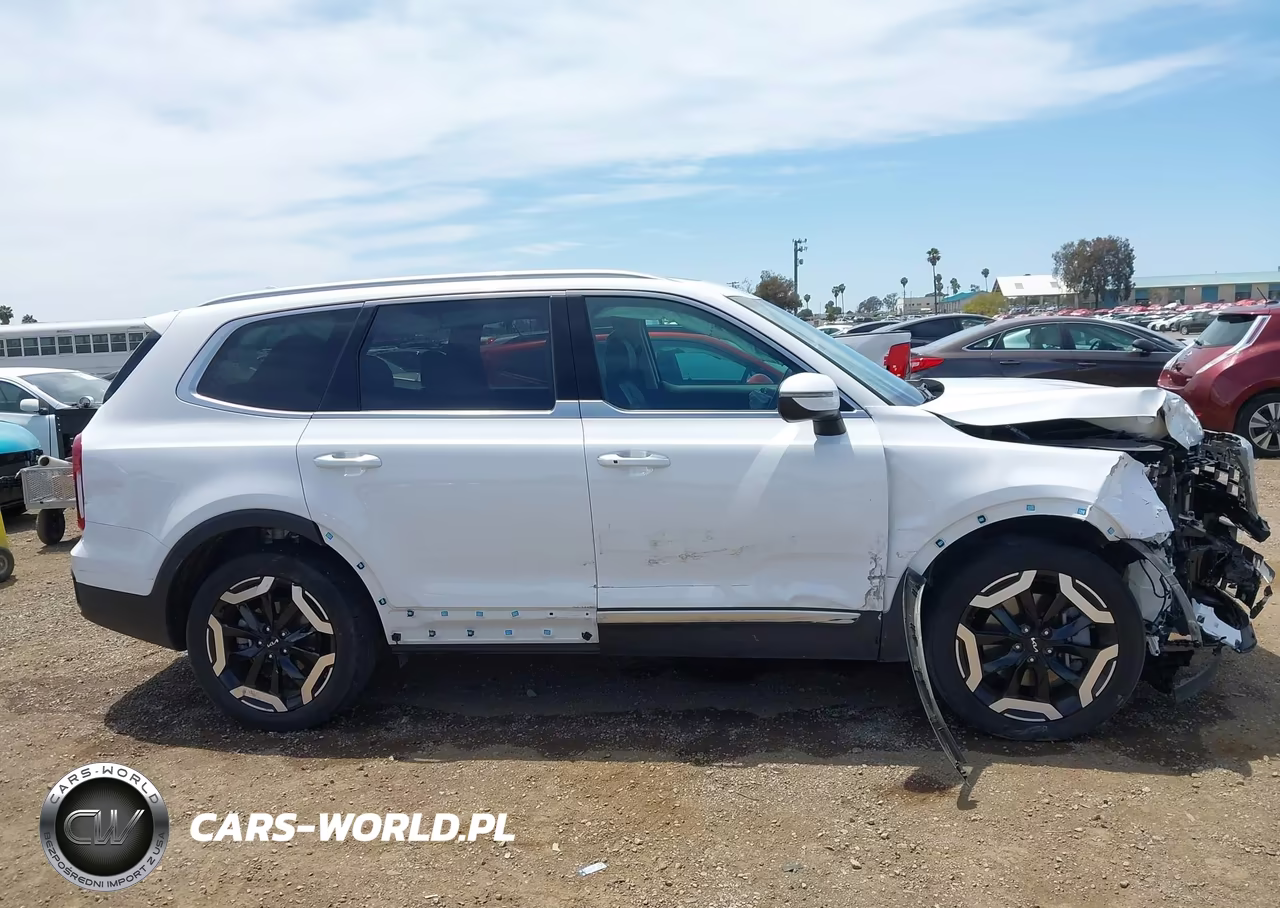 2024 Kia Telluride S VIN:5XYP64GC8RG562997 - 13