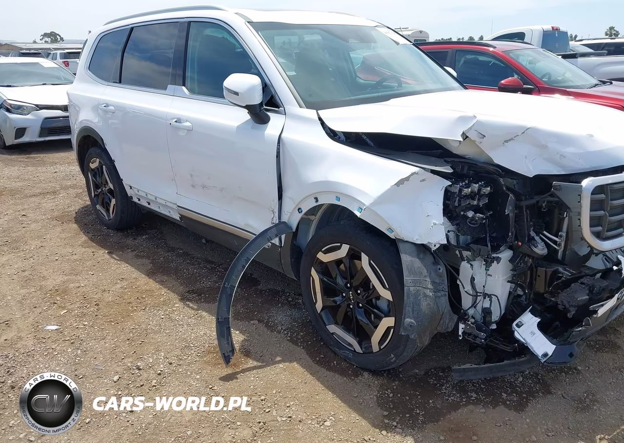 2024 Kia Telluride S VIN:5XYP64GC8RG562997 - 6