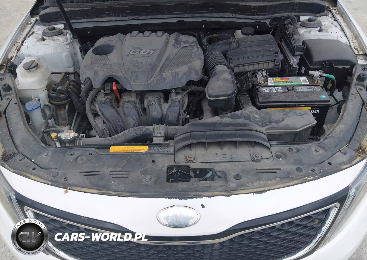 2015 Kia Optima Lx VIN:5XXGM4A7XFG466368 - 10