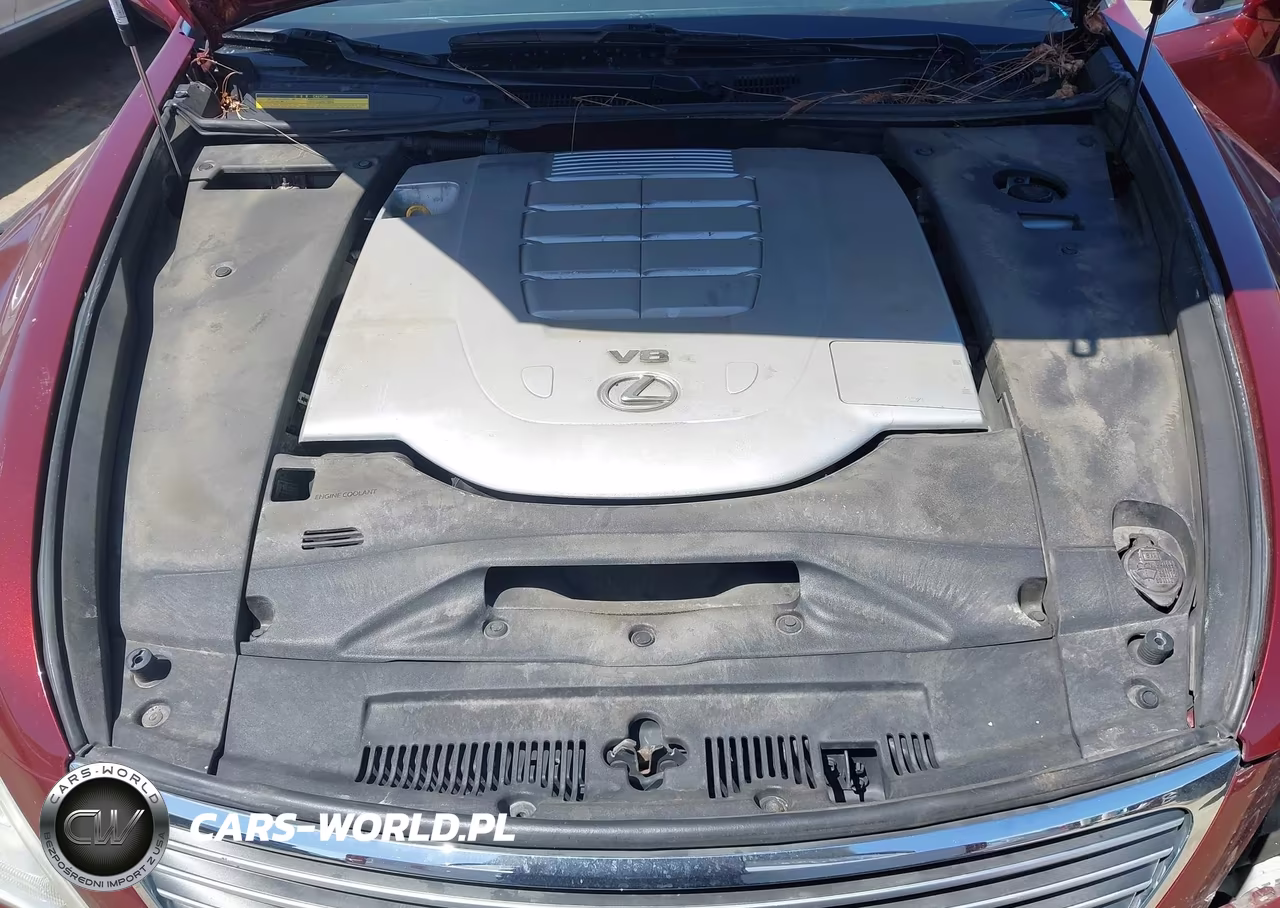 2009 Lexus Ls 460 VIN:JTHCL46F095002384 - 10