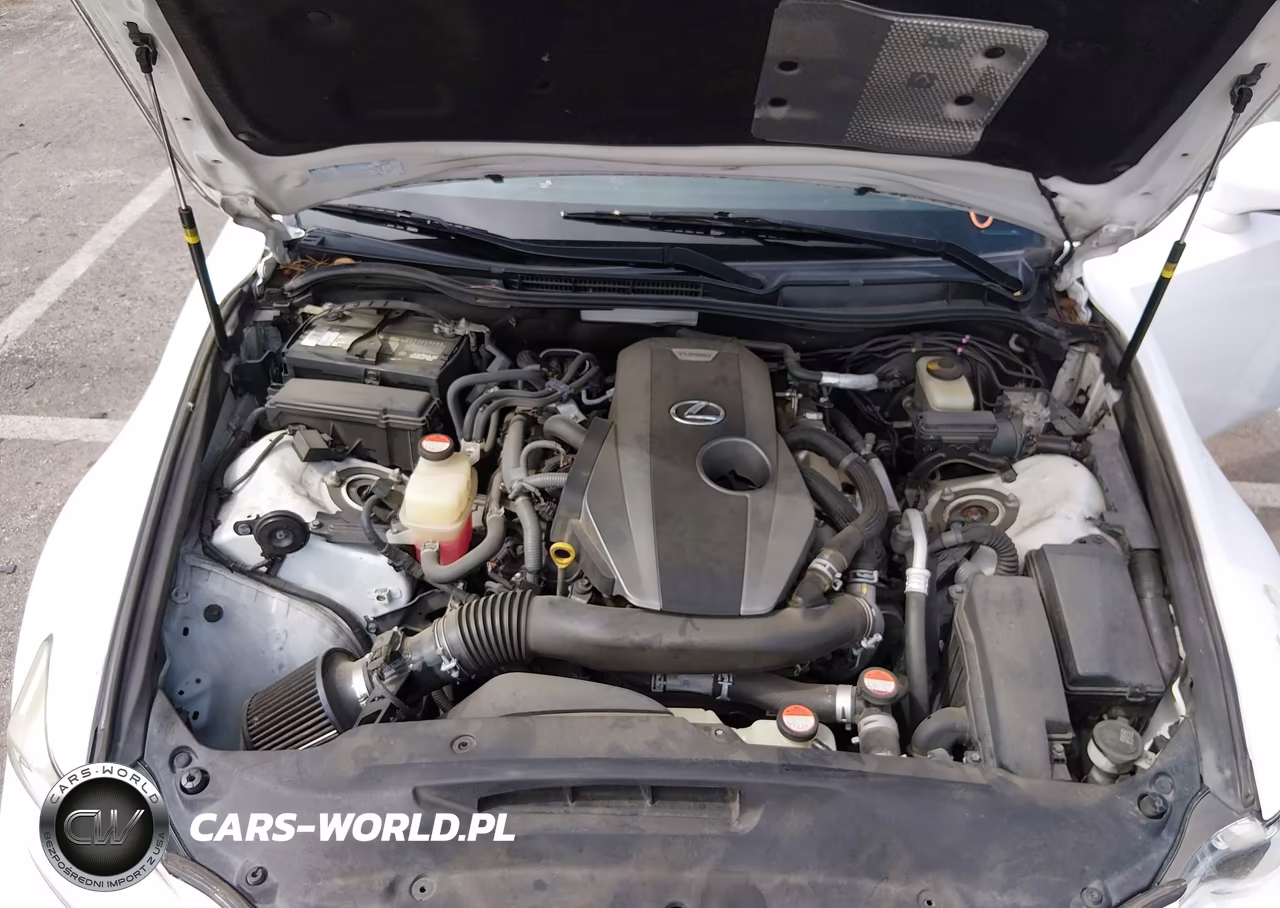 2016 Lexus Is 200T VIN:JTHBA1D26G5009224 - 10