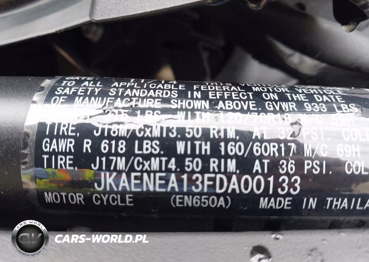 2015 Kawasaki En650 A VIN:JKAENEA13FDA00133 - 10
