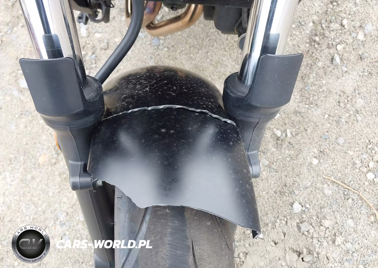 2015 Kawasaki En650 A VIN:JKAENEA13FDA00133 - 17