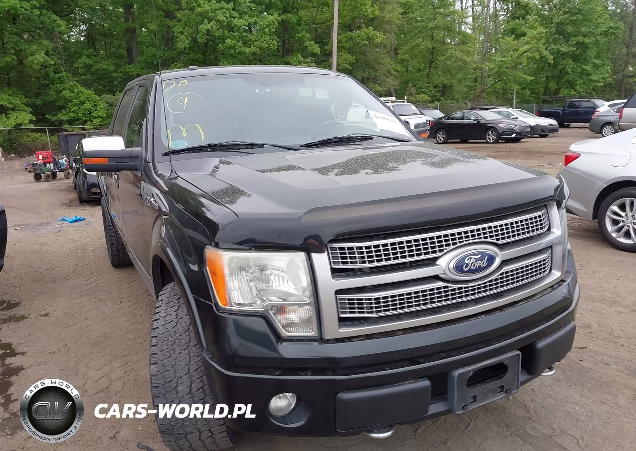 2011 Ford F-150 Platinum