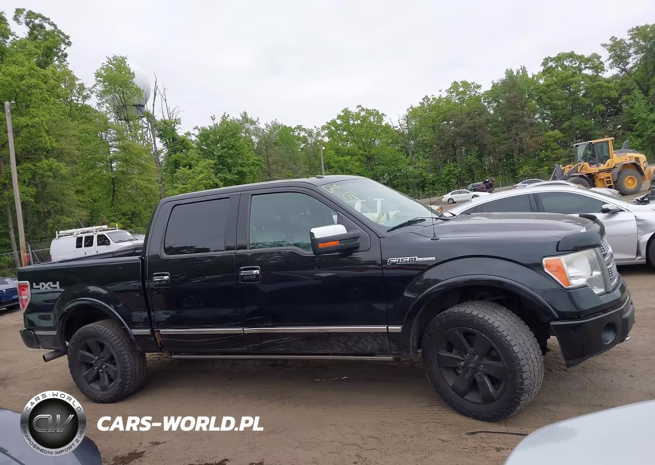 2011 Ford F-150 Platinum VIN:1FTFW1EF3BFA21758 - 13