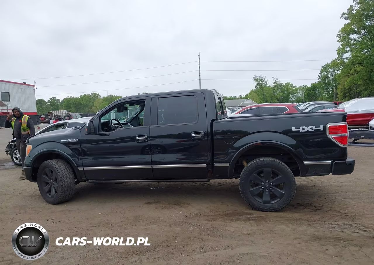 2011 Ford F-150 Platinum VIN:1FTFW1EF3BFA21758 - 14