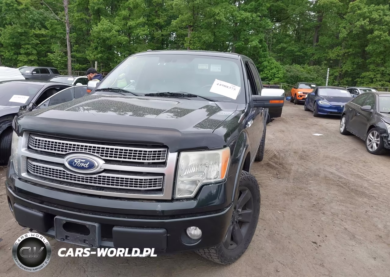 2011 Ford F-150 Platinum VIN:1FTFW1EF3BFA21758 - 2