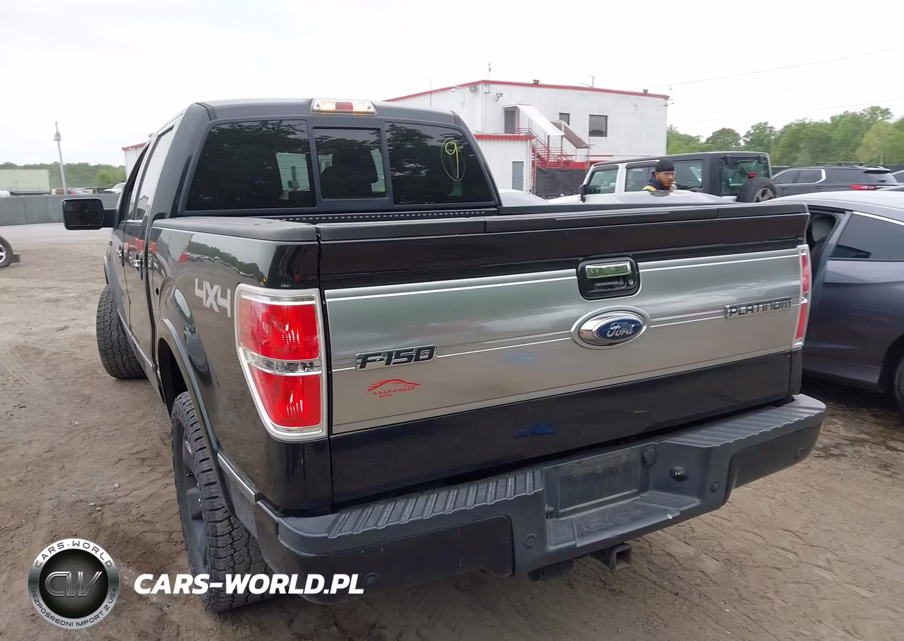 2011 Ford F-150 Platinum VIN:1FTFW1EF3BFA21758 - 3