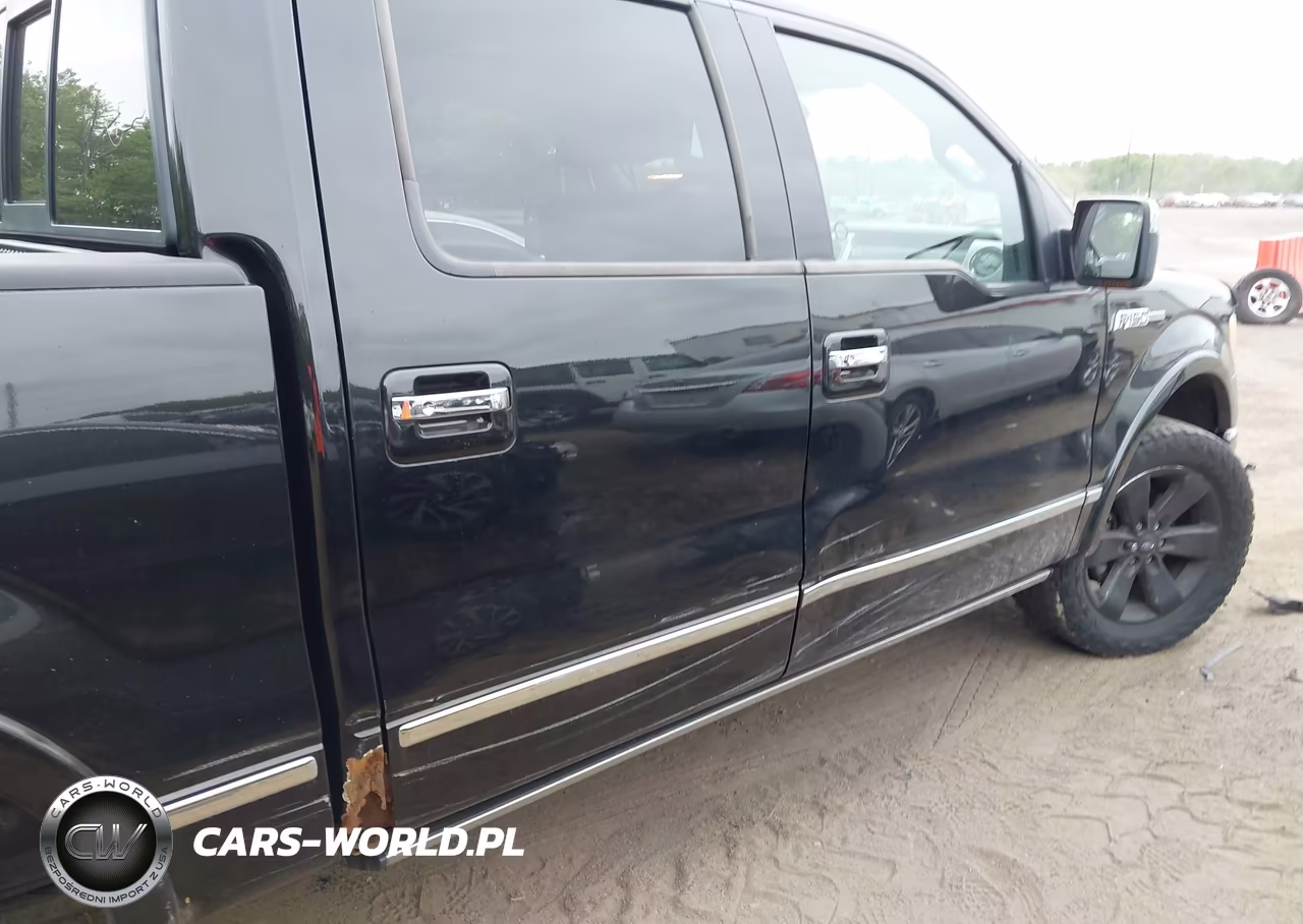 2011 Ford F-150 Platinum VIN:1FTFW1EF3BFA21758 - 6