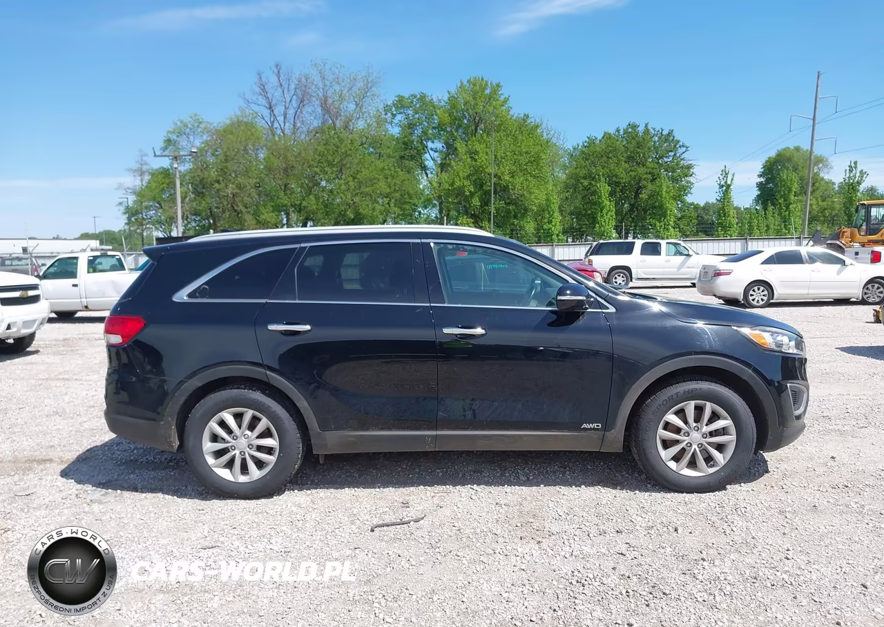 2018 Kia Sorento 2.4L Lx VIN:5XYPGDA36JG412929 - 13