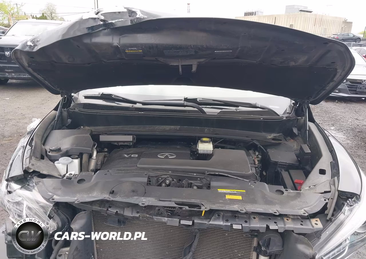 2019 Infiniti Qx60 Luxe VIN:5N1DL0MM5KC511710 - 10
