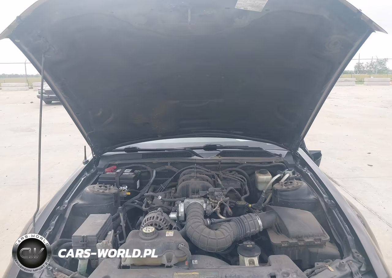 2007 Ford Mustang V6 Deluxe-V6 Premium VIN:1ZVFT80N475255904 - 10