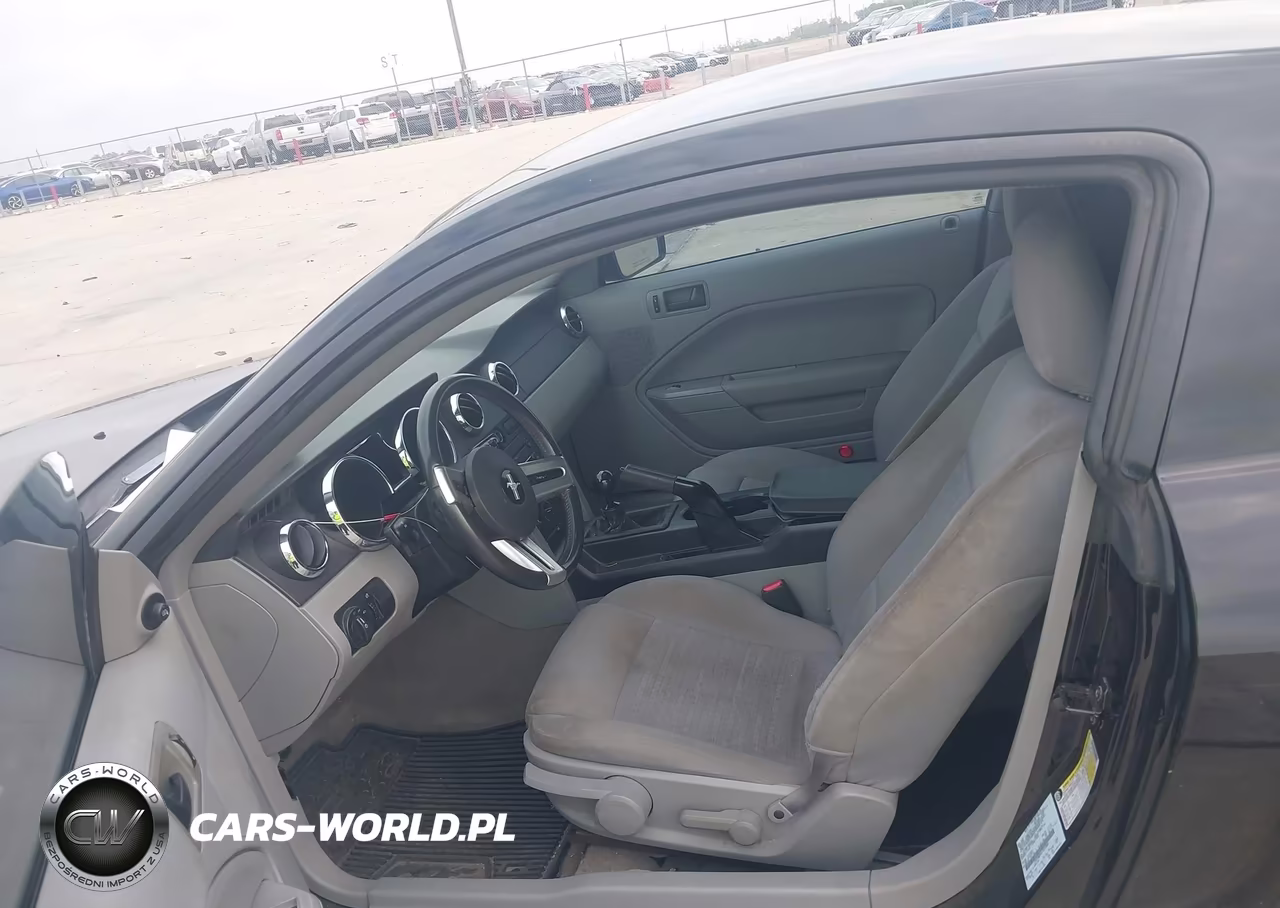 2007 Ford Mustang V6 Deluxe-V6 Premium VIN:1ZVFT80N475255904 - 8