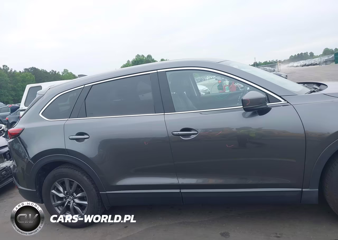 2020 Mazda Cx-9 Touring VIN:JM3TCBCY9L0424323 - 13