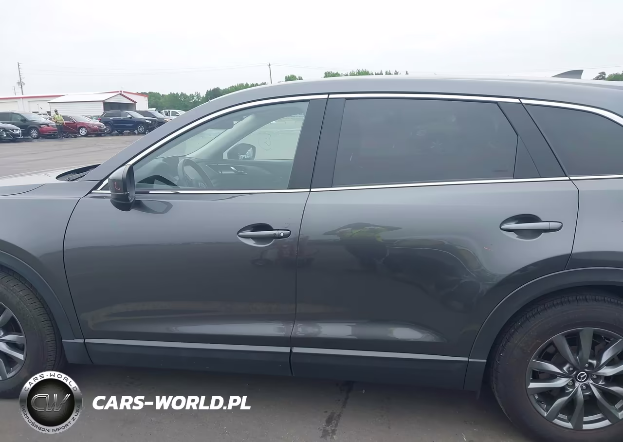 2020 Mazda Cx-9 Touring VIN:JM3TCBCY9L0424323 - 14