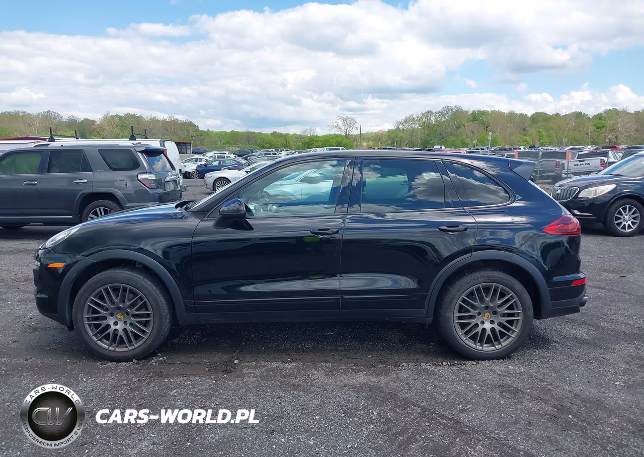2018 Porsche Cayenne Platinum Edition VIN:WP1AA2A21JKA03698 - 13