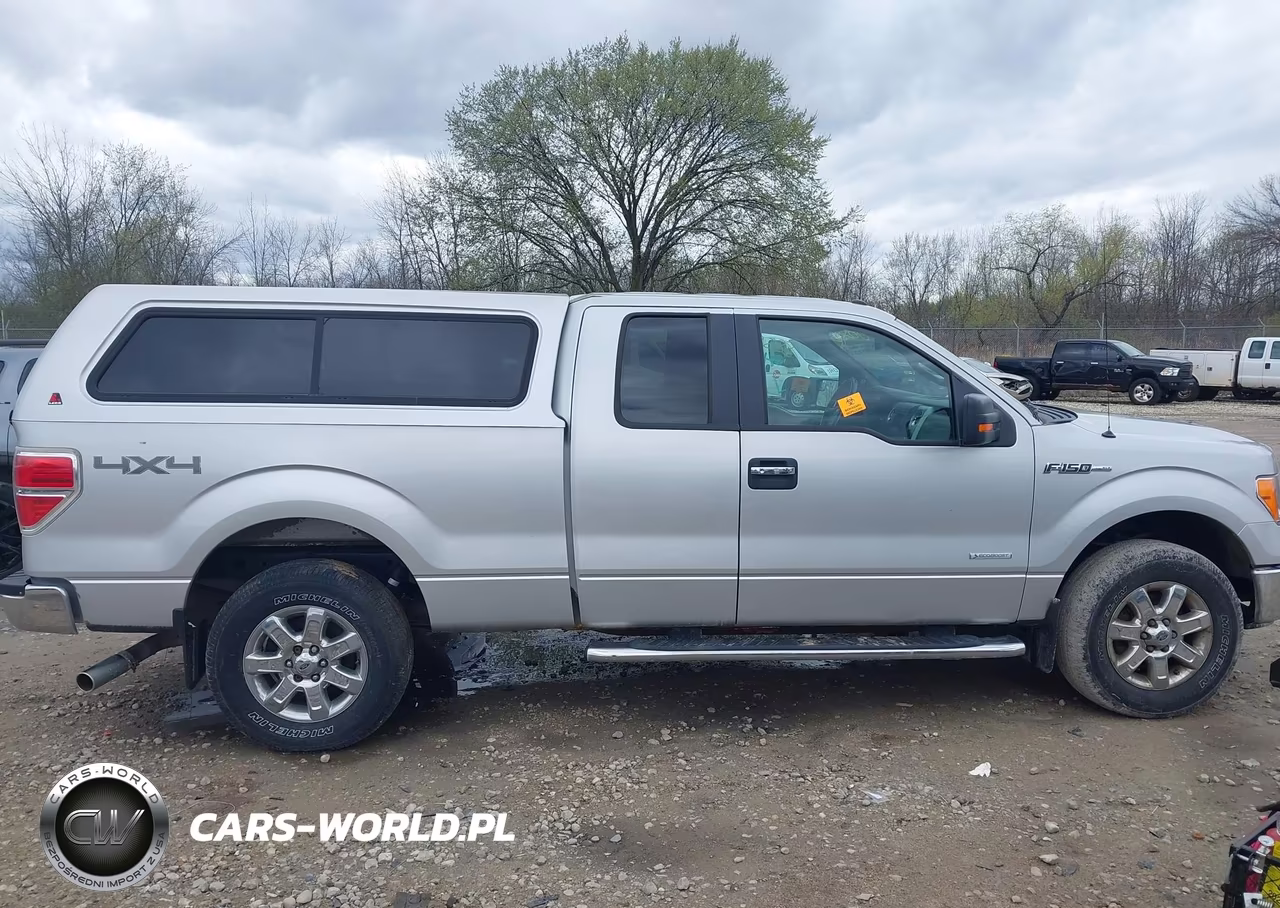 2013 Ford F-150 Xlt VIN:1FTFX1ET4DKG42715 - 13