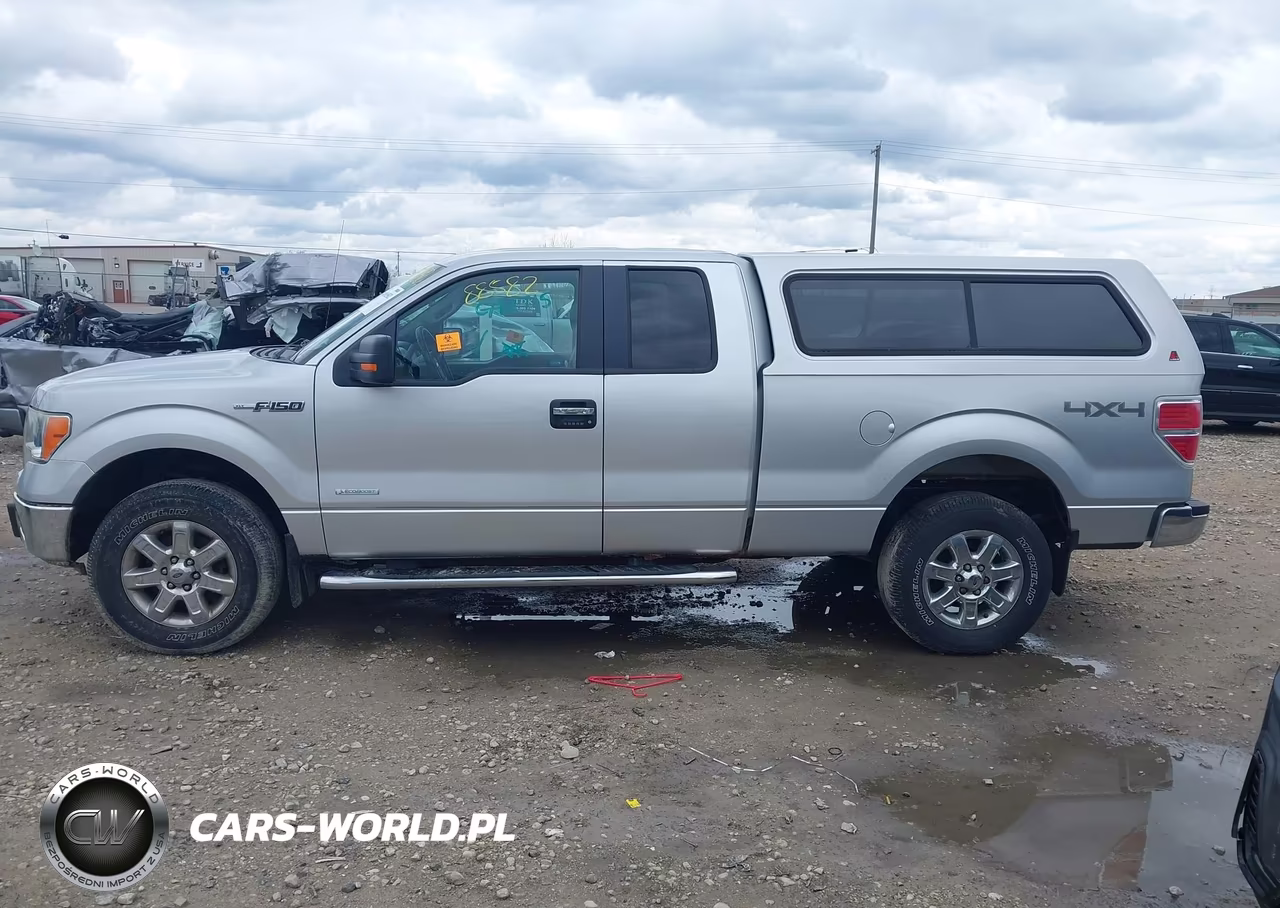 2013 Ford F-150 Xlt VIN:1FTFX1ET4DKG42715 - 15
