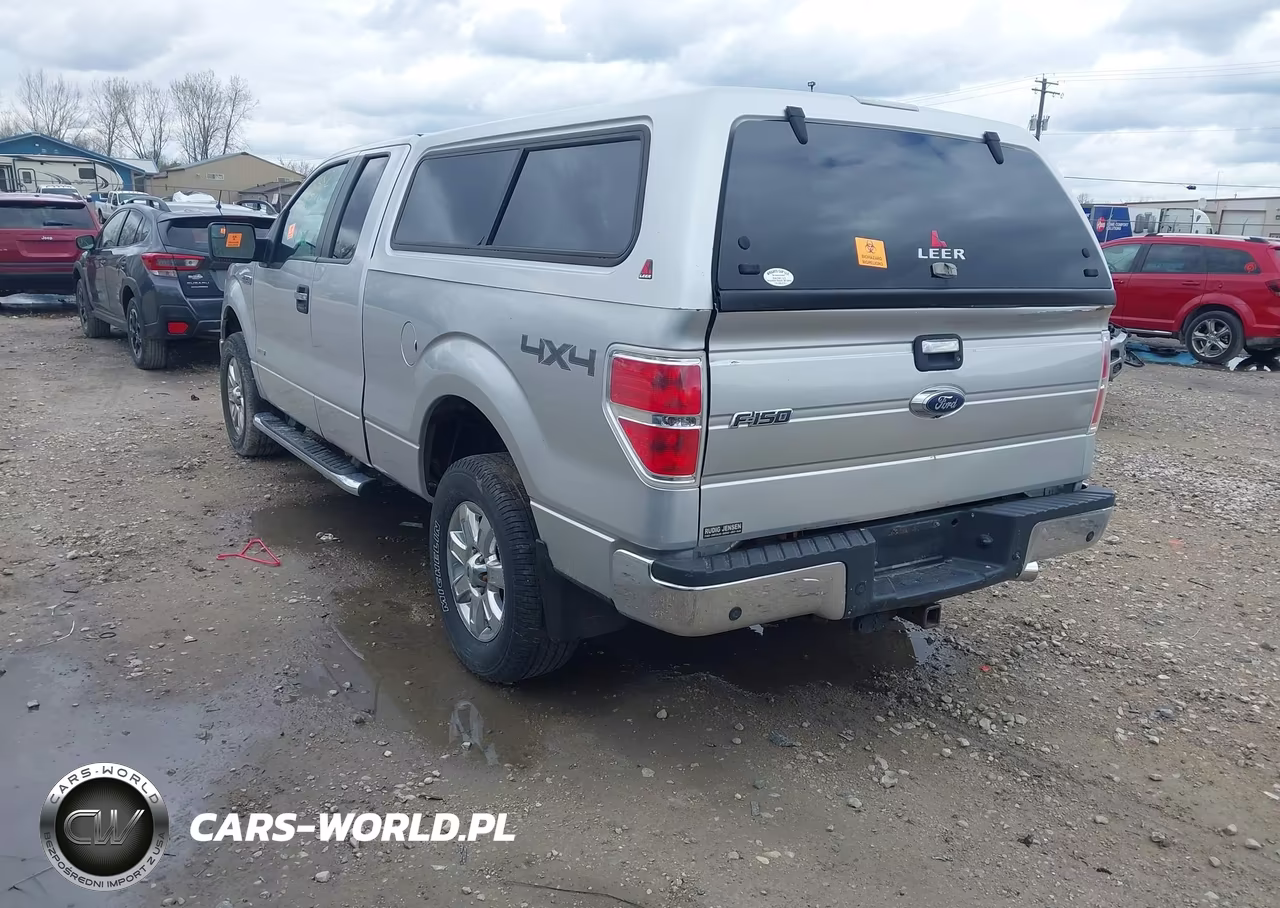 2013 Ford F-150 Xlt VIN:1FTFX1ET4DKG42715 - 3