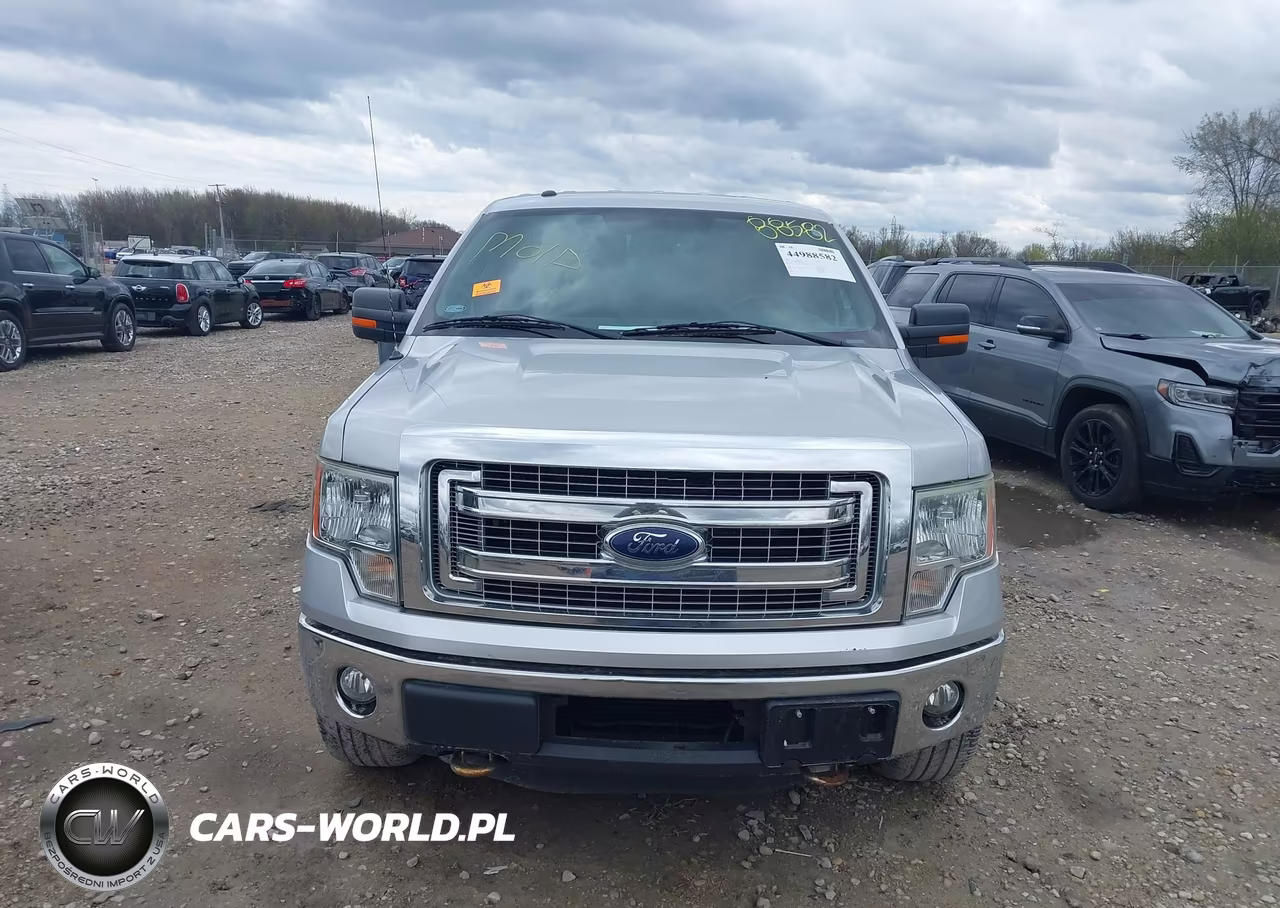 2013 Ford F-150 Xlt VIN:1FTFX1ET4DKG42715 - 6