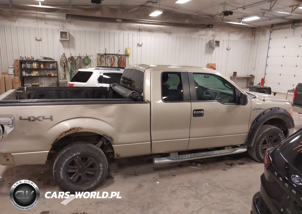 2010 Ford F-150 Stx-Xl-Xlt VIN:1FTEX1E88AFC48680 - 13