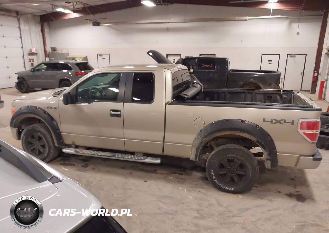2010 Ford F-150 Stx-Xl-Xlt VIN:1FTEX1E88AFC48680 - 14