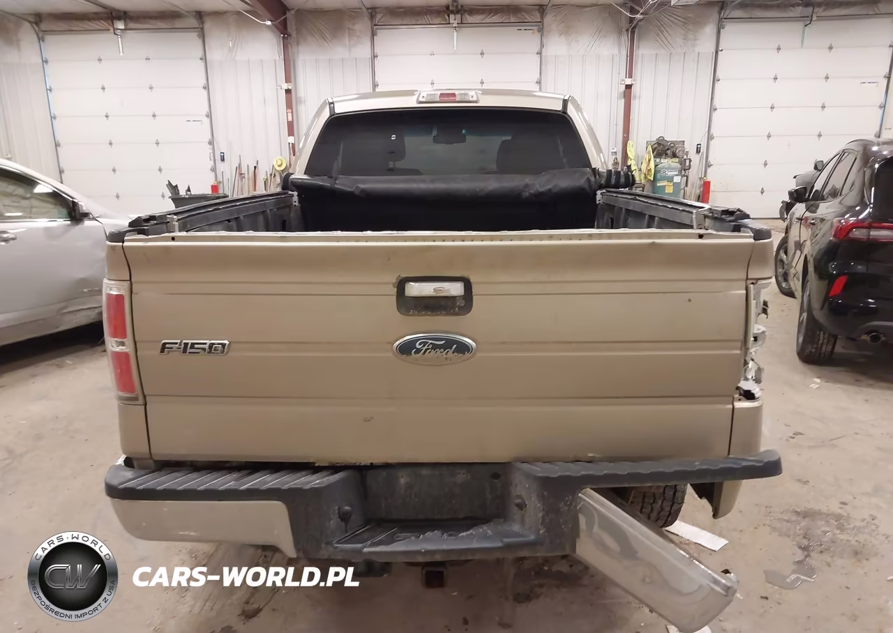 2010 Ford F-150 Stx-Xl-Xlt VIN:1FTEX1E88AFC48680 - 16