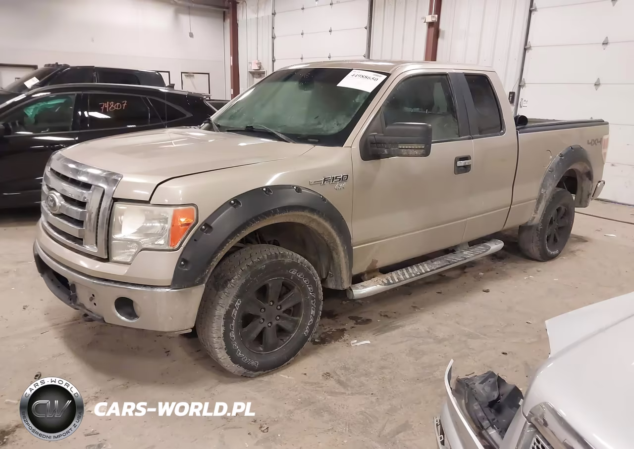 2010 Ford F-150 Stx-Xl-Xlt VIN:1FTEX1E88AFC48680 - 2