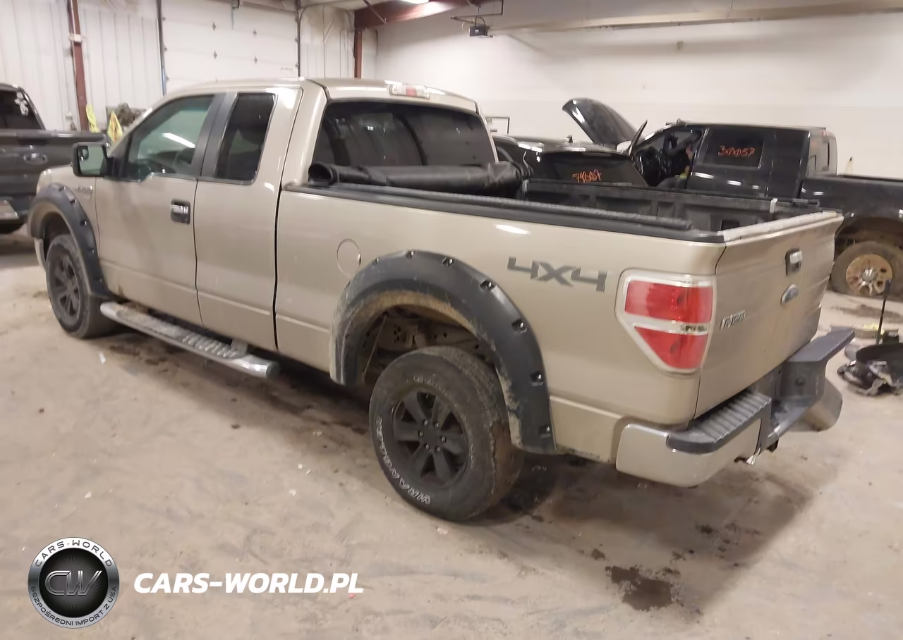 2010 Ford F-150 Stx-Xl-Xlt VIN:1FTEX1E88AFC48680 - 3