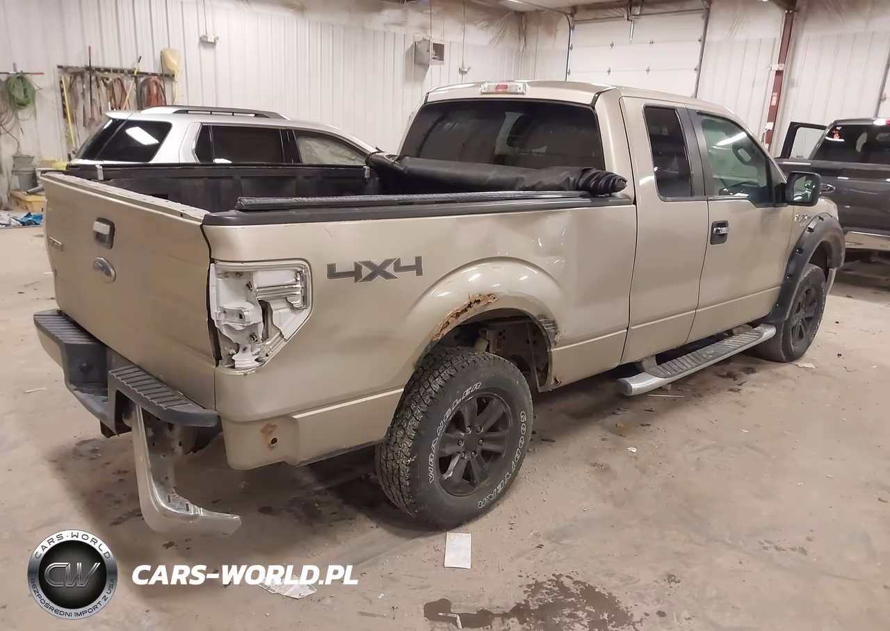 2010 Ford F-150 Stx-Xl-Xlt VIN:1FTEX1E88AFC48680 - 4