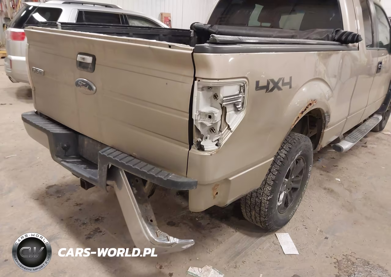 2010 Ford F-150 Stx-Xl-Xlt VIN:1FTEX1E88AFC48680 - 6