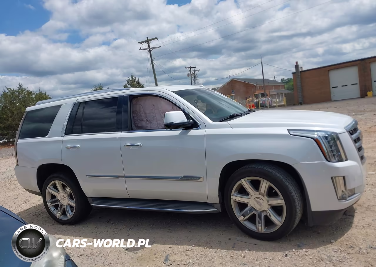 2016 Cadillac Escalade Luxury Collection VIN:1GYS3BKJ6GR385632 - 13
