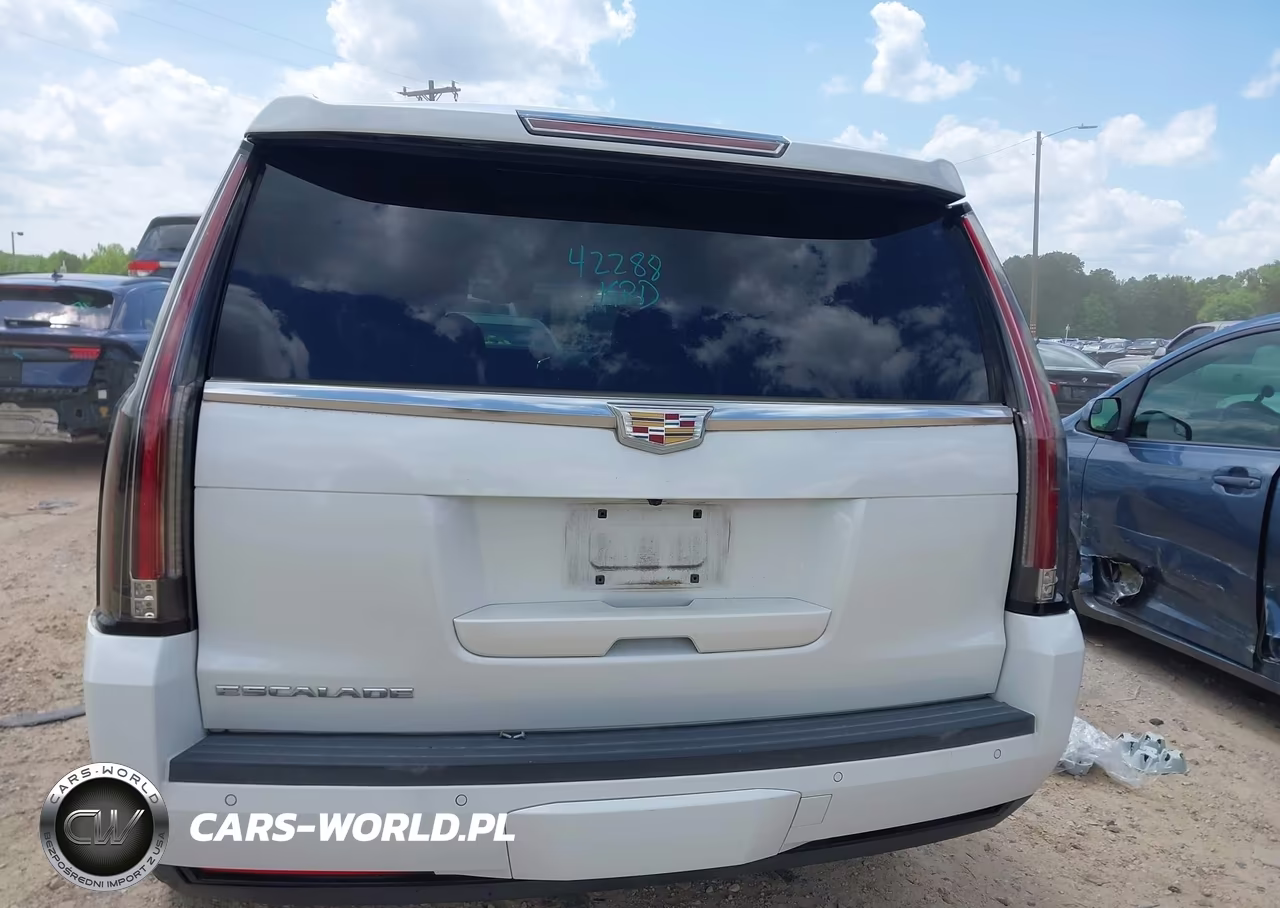 2016 Cadillac Escalade Luxury Collection VIN:1GYS3BKJ6GR385632 - 16