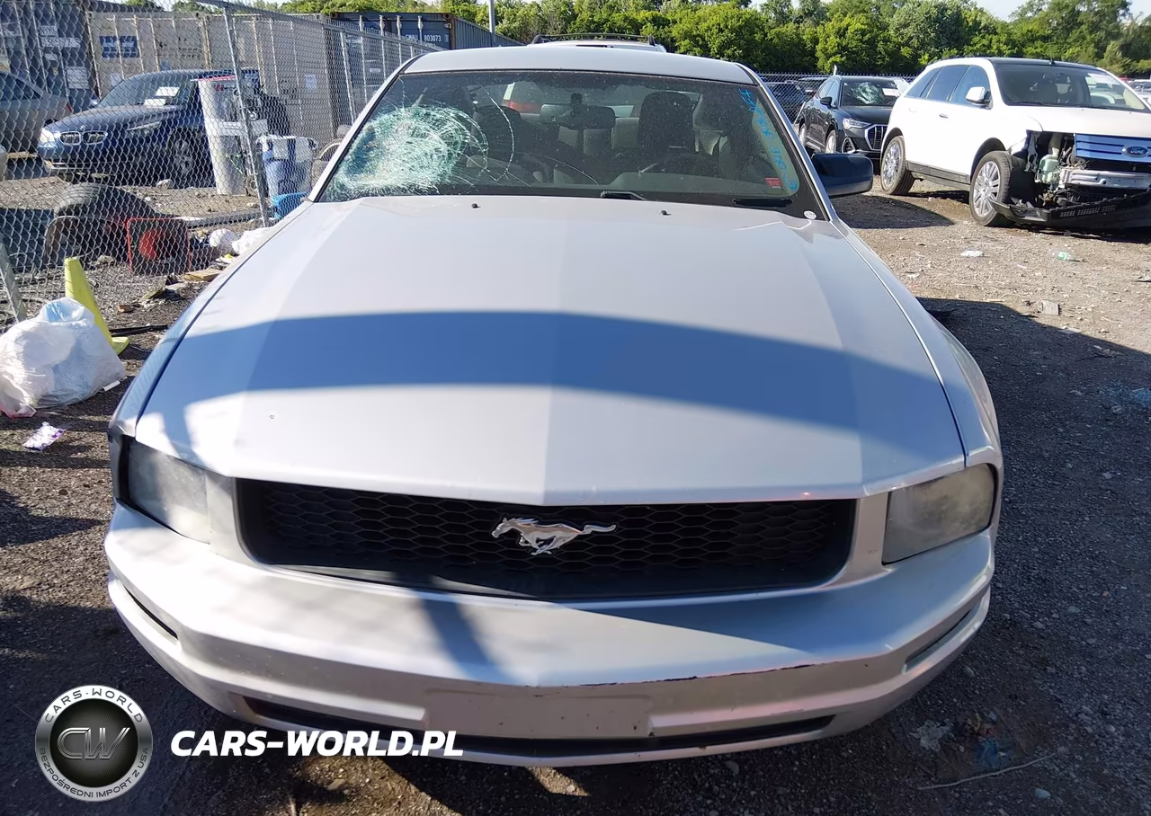 2006 Ford Mustang V6 VIN:1ZVFT80N865130869 - 12