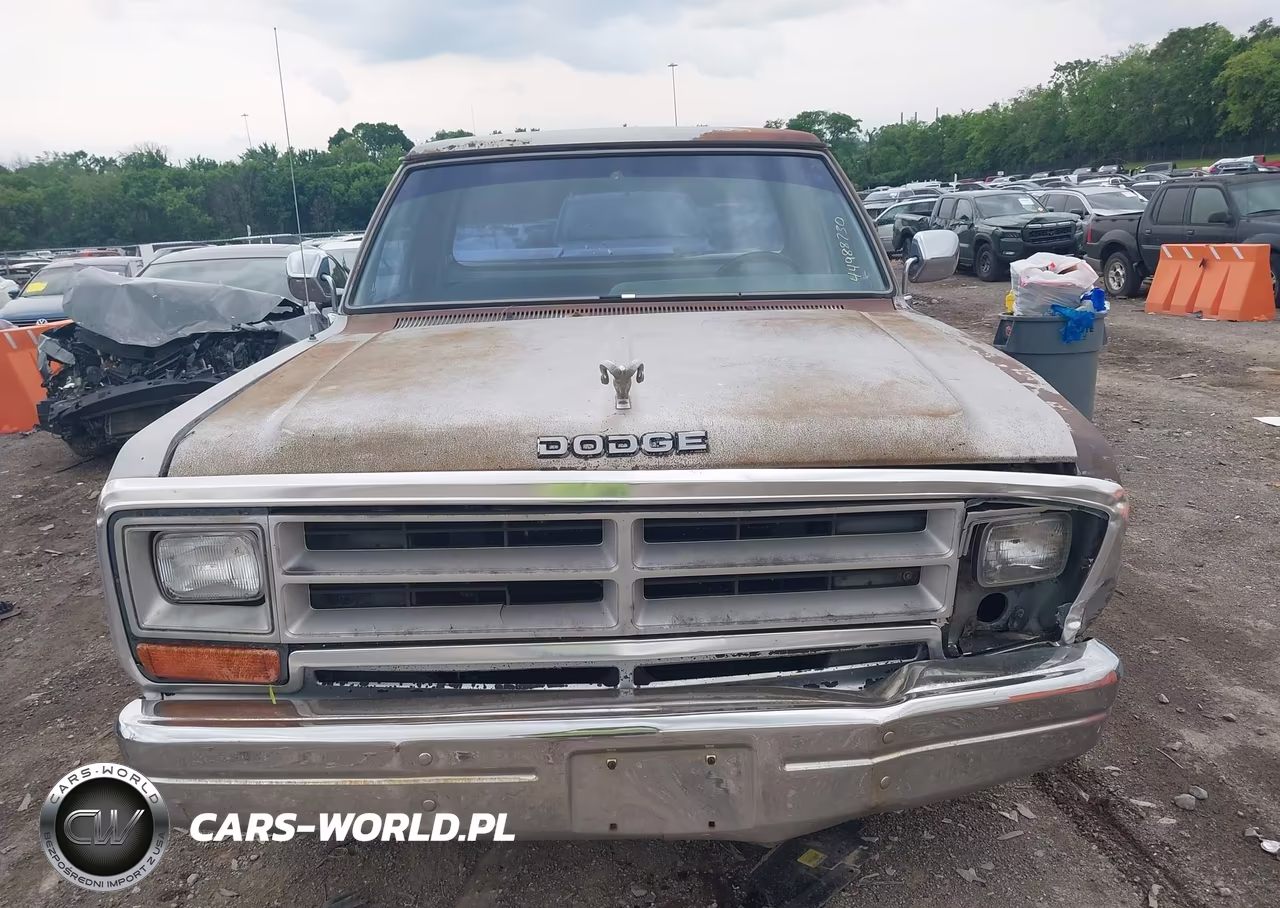 1989 Dodge D-Series D100 VIN:1B7FE06Y4KS015133 - 12