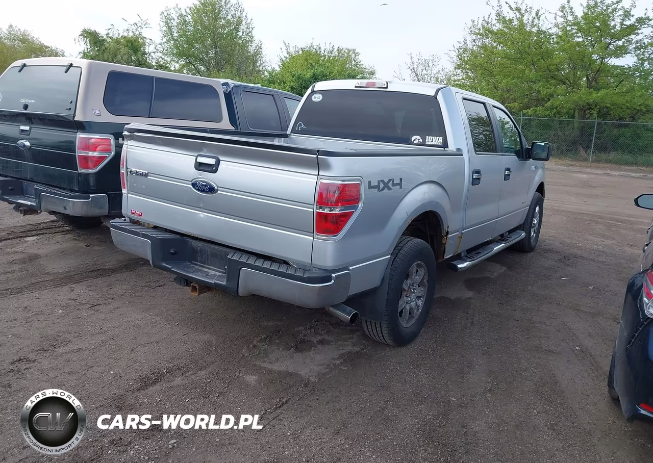 2011 Ford F-150 Xlt VIN:1FTFW1ET1BFB43783 - 4