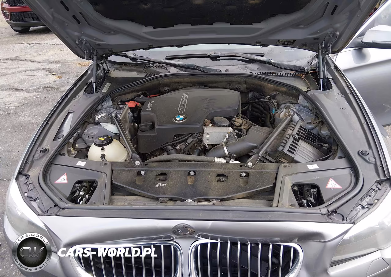 2016 BMW 528I xDrive VIN:WBA5A7C59GG148262 - 10