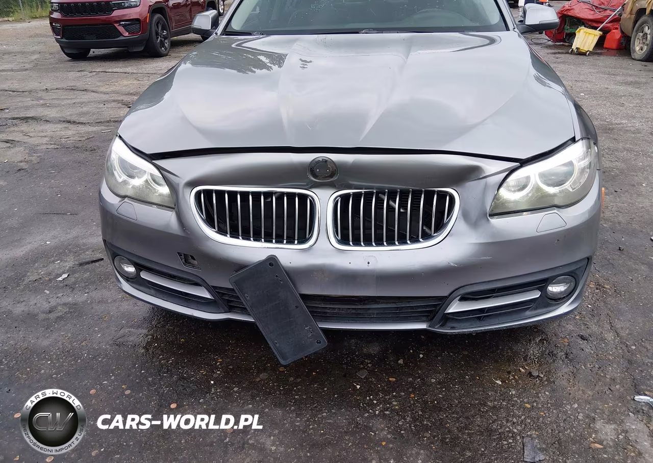 2016 BMW 528I xDrive VIN:WBA5A7C59GG148262 - 6