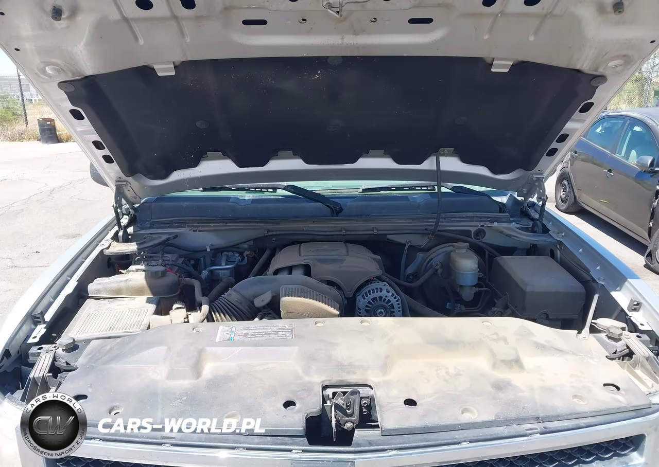 2010 Chevrolet Silverado 1500 Ls VIN:1GCSKREA0AZ241501 - 10
