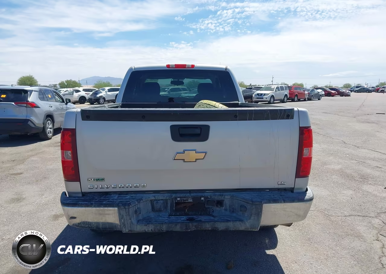 2010 Chevrolet Silverado 1500 Ls VIN:1GCSKREA0AZ241501 - 15