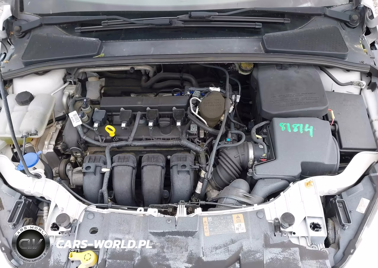 2016 Ford Focus Se VIN:1FADP3F29GL259530 - 10