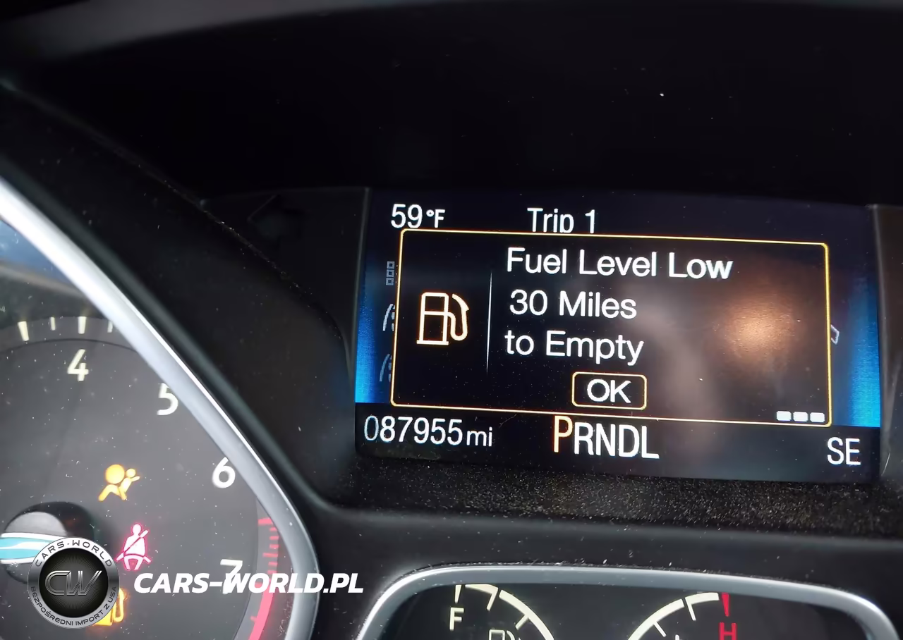 2016 Ford Focus Se VIN:1FADP3F29GL259530 - 16